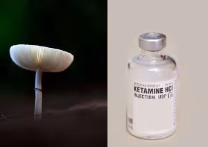 Seta blanca junto a un vial de medicamento inyectable