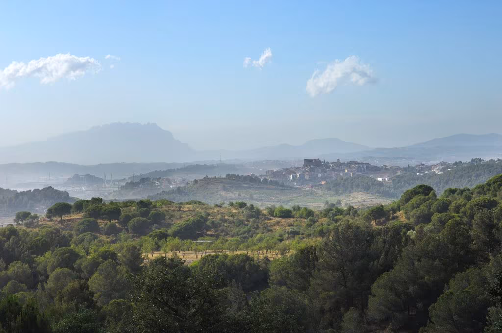 Paisaje de pinares con un pueblo y la montaña de Montserrat al fondo
