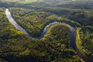 Vista aérea de un río que serpentea entre bosques