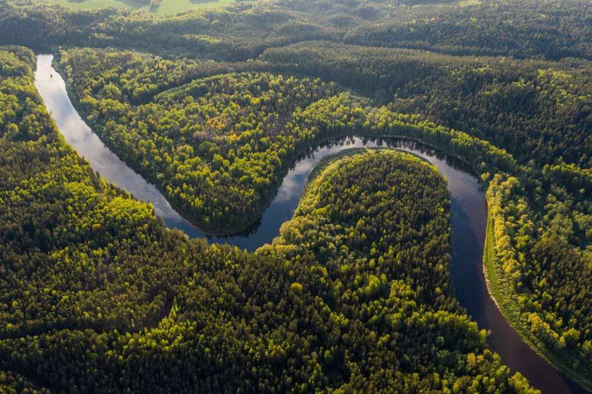 Vista aérea de un río que serpentea entre bosques