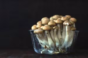Ramillete de hongos de sombrero marrón en un cuenco de cristal